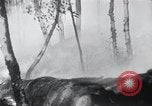 Standbild Forest Fire Secord Township Ontario Kanada, 1936, aus Sekunde 33 historischem Filmmaterial Videoclip 65675029433