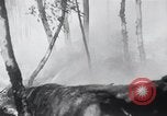 Standbild Forest Fire Secord Township Ontario Kanada, 1936, aus Sekunde 34 historischem Filmmaterial Videoclip 65675029433