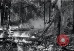 Standbild Forest Fire Secord Township Ontario Kanada, 1936, aus Sekunde 35 historischem Filmmaterial Videoclip 65675029433