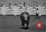 Immagine di Salina Rodeo Salinas California USA, 1936, secondo 59 filmato di repertorio 65675029437