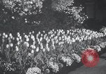 Image of Annual Flower Show New York United States USA, 1937, second 6 stock footage video 65675029440