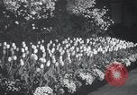Image of Annual Flower Show New York United States USA, 1937, second 8 stock footage video 65675029440