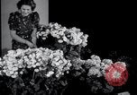 Image of Annual Flower Show New York United States USA, 1937, second 22 stock footage video 65675029440