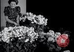 Image of Annual Flower Show New York United States USA, 1937, second 23 stock footage video 65675029440