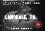 Standbild Küken Lansdale Pennsylvania USA, 1937, aus Sekunde 1 historischem Filmmaterial Videoclip 65675029441