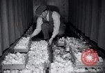 Standbild Küken Lansdale Pennsylvania USA, 1937, aus Sekunde 6 historischem Filmmaterial Videoclip 65675029441