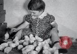 Standbild Küken Lansdale Pennsylvania USA, 1937, aus Sekunde 17 historischem Filmmaterial Videoclip 65675029441