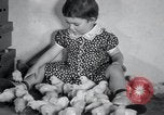 Standbild Küken Lansdale Pennsylvania USA, 1937, aus Sekunde 19 historischem Filmmaterial Videoclip 65675029441