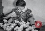 Standbild Küken Lansdale Pennsylvania USA, 1937, aus Sekunde 20 historischem Filmmaterial Videoclip 65675029441