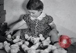 Standbild Küken Lansdale Pennsylvania USA, 1937, aus Sekunde 21 historischem Filmmaterial Videoclip 65675029441