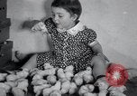 Standbild Küken Lansdale Pennsylvania USA, 1937, aus Sekunde 24 historischem Filmmaterial Videoclip 65675029441