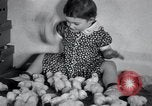 Standbild Küken Lansdale Pennsylvania USA, 1937, aus Sekunde 25 historischem Filmmaterial Videoclip 65675029441