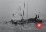 Immagine di Perry O Stoughton Crescent City California USA, 1937, secondo 10 filmato di repertorio 65675029455