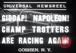 Image of Hambletonian Goshen New York USA, 1937, second 3 stock footage video 65675029463