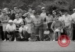Immagine di Il Golfer Dave Marr United States USA, 1965, secondo 23 filmato di repertorio 65675029469