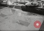 Image of urban racial violence Detroit Michigan USA, 1967, second 59 stock footage video 65675029470