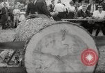 Immagine di Tree-chopping e concorsi di sezionatura Baviera Germania, 1967, secondo 22 filmato di repertorio 65675029474