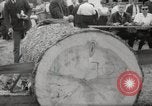 Immagine di Tree-chopping e concorsi di sezionatura Baviera Germania, 1967, secondo 23 filmato di repertorio 65675029474