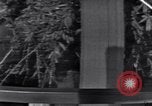 Image of Black Americans Washington DC USA, 1963, second 20 stock footage video 65675029514
