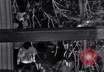Image of Black Americans Washington DC USA, 1963, second 24 stock footage video 65675029514