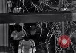 Image of Black Americans Washington DC USA, 1963, second 25 stock footage video 65675029514