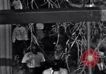 Image of Black Americans Washington DC USA, 1963, second 26 stock footage video 65675029514