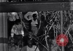 Image of Black Americans Washington DC USA, 1963, second 27 stock footage video 65675029514