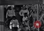 Image of Black Americans Washington DC USA, 1963, second 28 stock footage video 65675029514