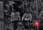 Image of Black Americans Washington DC USA, 1963, second 31 stock footage video 65675029514