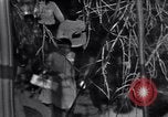 Image of Black Americans Washington DC USA, 1963, second 33 stock footage video 65675029514