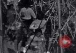 Image of Black Americans Washington DC USA, 1963, second 34 stock footage video 65675029514