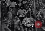 Image of Black Americans Washington DC USA, 1963, second 35 stock footage video 65675029514