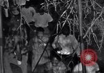 Image of Black Americans Washington DC USA, 1963, second 36 stock footage video 65675029514
