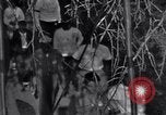 Image of Black Americans Washington DC USA, 1963, second 37 stock footage video 65675029514