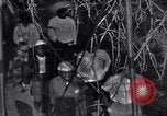 Image of Black Americans Washington DC USA, 1963, second 38 stock footage video 65675029514