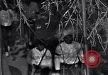 Image of Black Americans Washington DC USA, 1963, second 40 stock footage video 65675029514