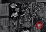 Image of Black Americans Washington DC USA, 1963, second 44 stock footage video 65675029514