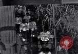 Image of Black Americans Washington DC USA, 1963, second 52 stock footage video 65675029514