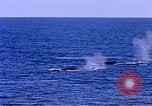 Image of American Navy fleet Antarctica, 1950, second 25 stock footage video 65675029539
