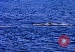 Image of American Navy fleet Antarctica, 1950, second 31 stock footage video 65675029539