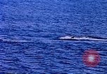 Image of American Navy fleet Antarctica, 1950, second 32 stock footage video 65675029539