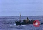Image of American Navy fleet Antarctica, 1950, second 50 stock footage video 65675029539
