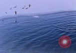 Image of Operation High Jump Antarctica, 1950, second 37 stock footage video 65675029542