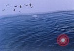 Image of Operation High Jump Antarctica, 1950, second 38 stock footage video 65675029542