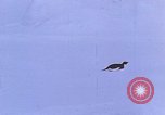 Image of Operation High Jump Antarctica, 1950, second 44 stock footage video 65675029542