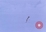 Image of Operation High Jump Antarctica, 1950, second 45 stock footage video 65675029542