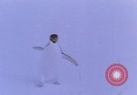 Image of Operation High Jump Antarctica, 1950, second 47 stock footage video 65675029542