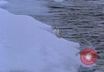 Image of Operation High Jump Antarctica, 1950, second 57 stock footage video 65675029542