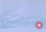 Standbild Huskies der Antarktis, 1950, aus Sekunde 1 historischem Filmmaterial Videoclip 65675029543