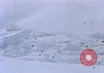 Standbild Huskies der Antarktis, 1950, aus Sekunde 3 historischem Filmmaterial Videoclip 65675029543